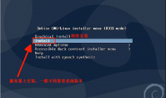debian 10.3 server 中文图文安装自动分区教程